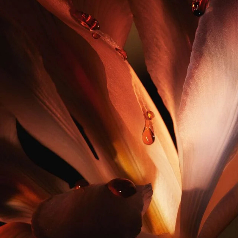 Dior Homme Intense 2011 100Ml - Image 4