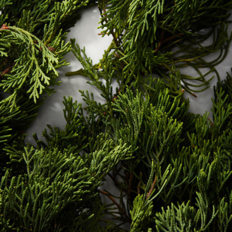 Dolce & Gabbana Intenso 125ml - Image 6