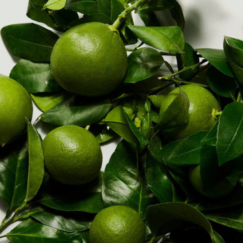 Dolce & Gabbana Intenso 125ml - Image 3