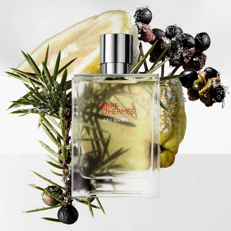 Terre d'Hermès Eau Givrée EDP - Image 4