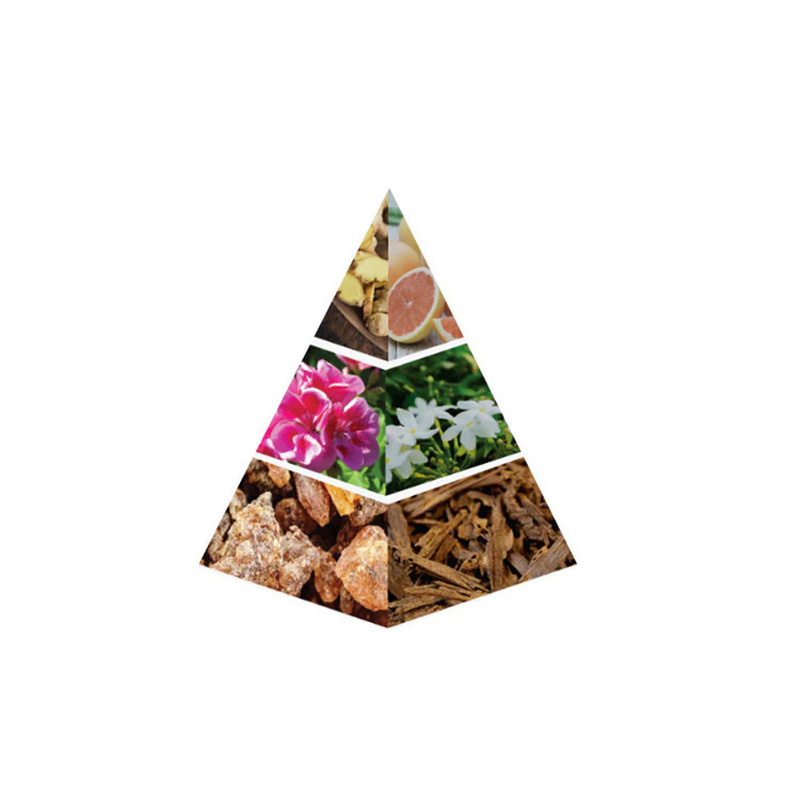 Naseem Lost in the Woods Aqua Parfum - Image 4