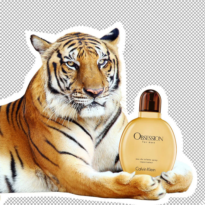 Obsession for Men EDT - Image 4