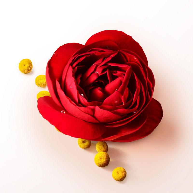 Sì Intense EDP — 2023 Edition - Image 2