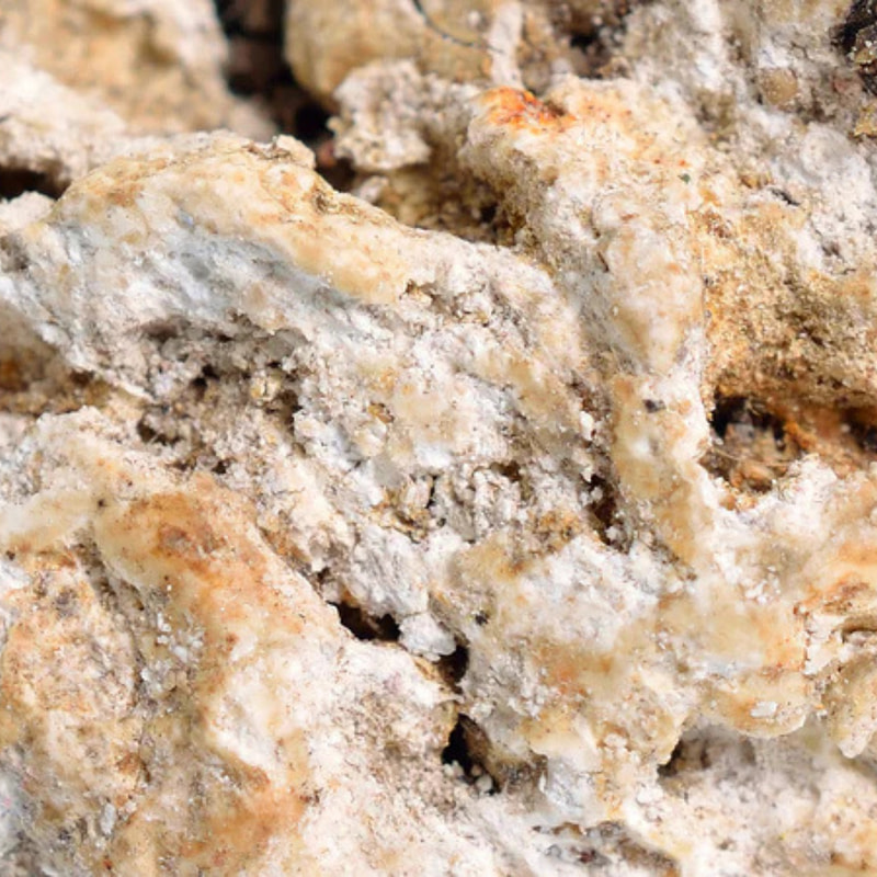 Electimuss Trajan 100ml - Image 3